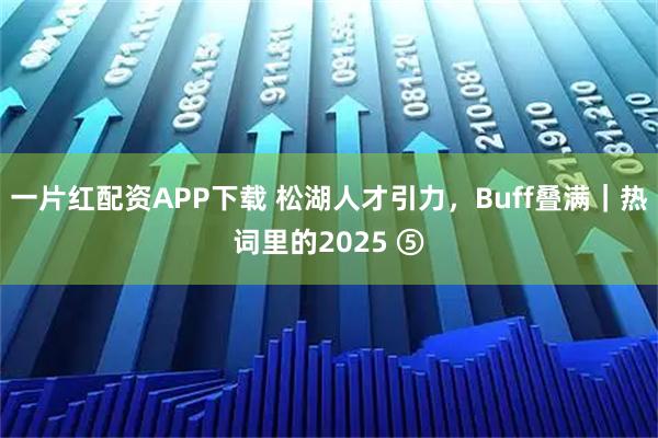 一片红配资APP下载 松湖人才引力，Buff叠满｜热词里的2025 ⑤